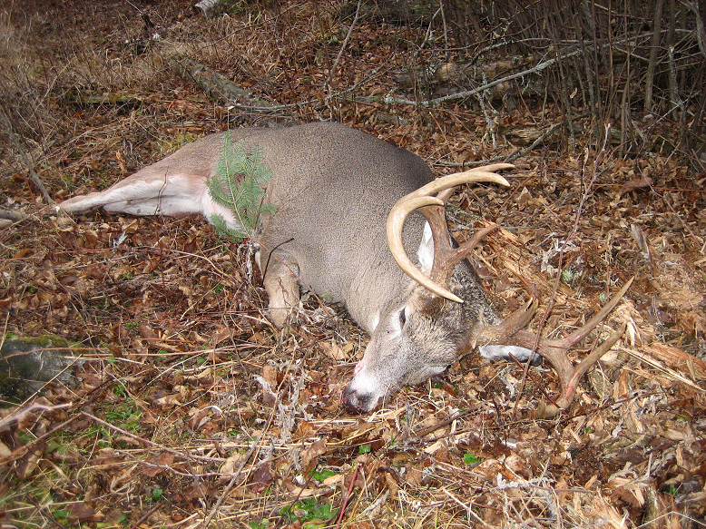 Ontario Whitetail Deer Hunting Guided Trophy Deer Hunts