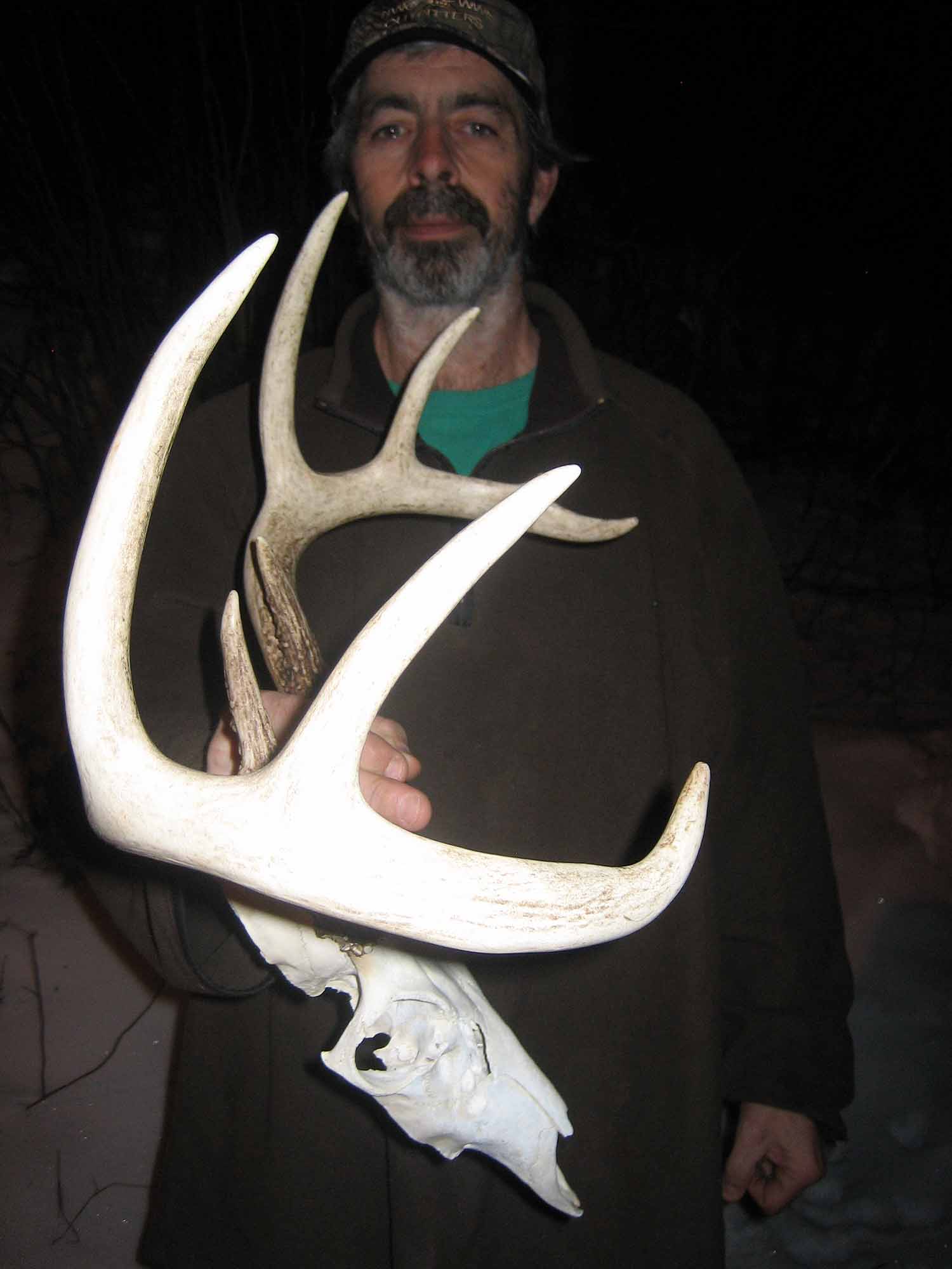 2014-deer-hunt-whitetail2